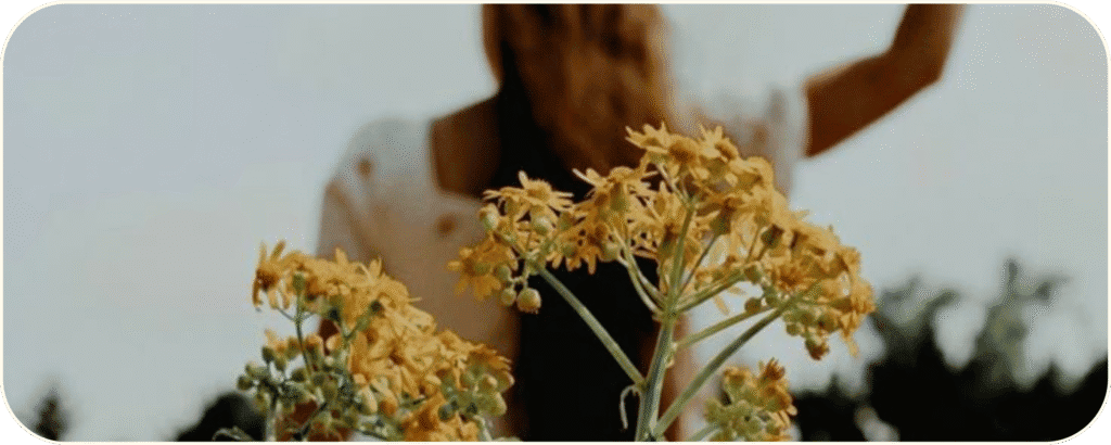 Flores