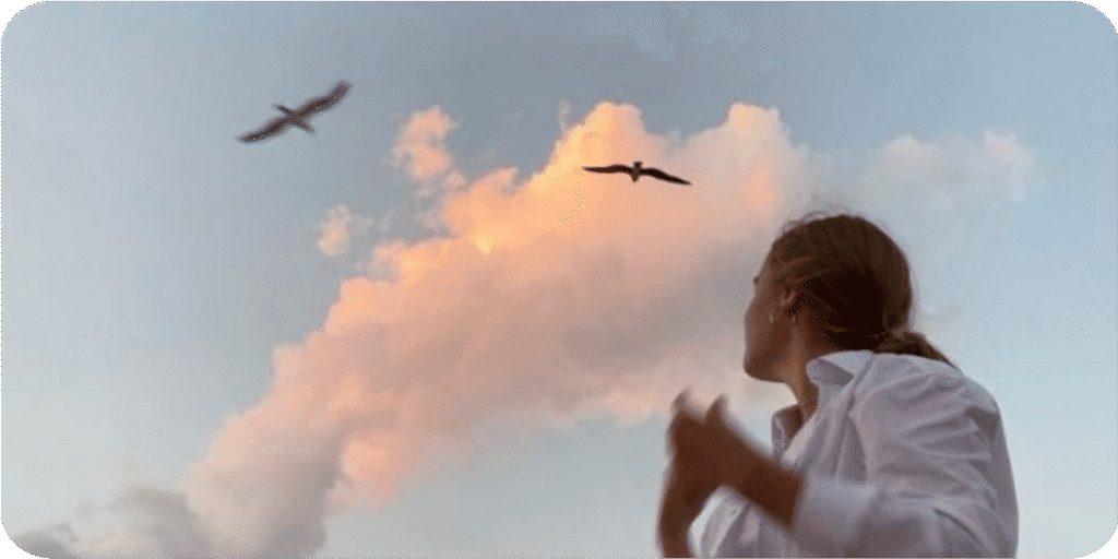 cielo